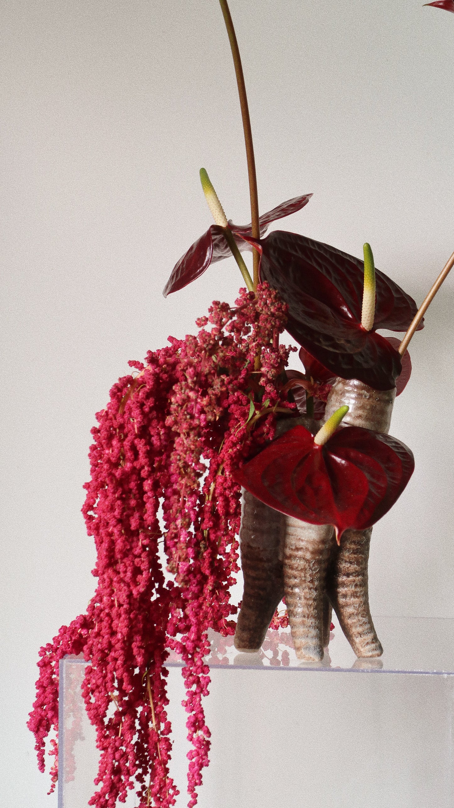 CHERRY TAIL
