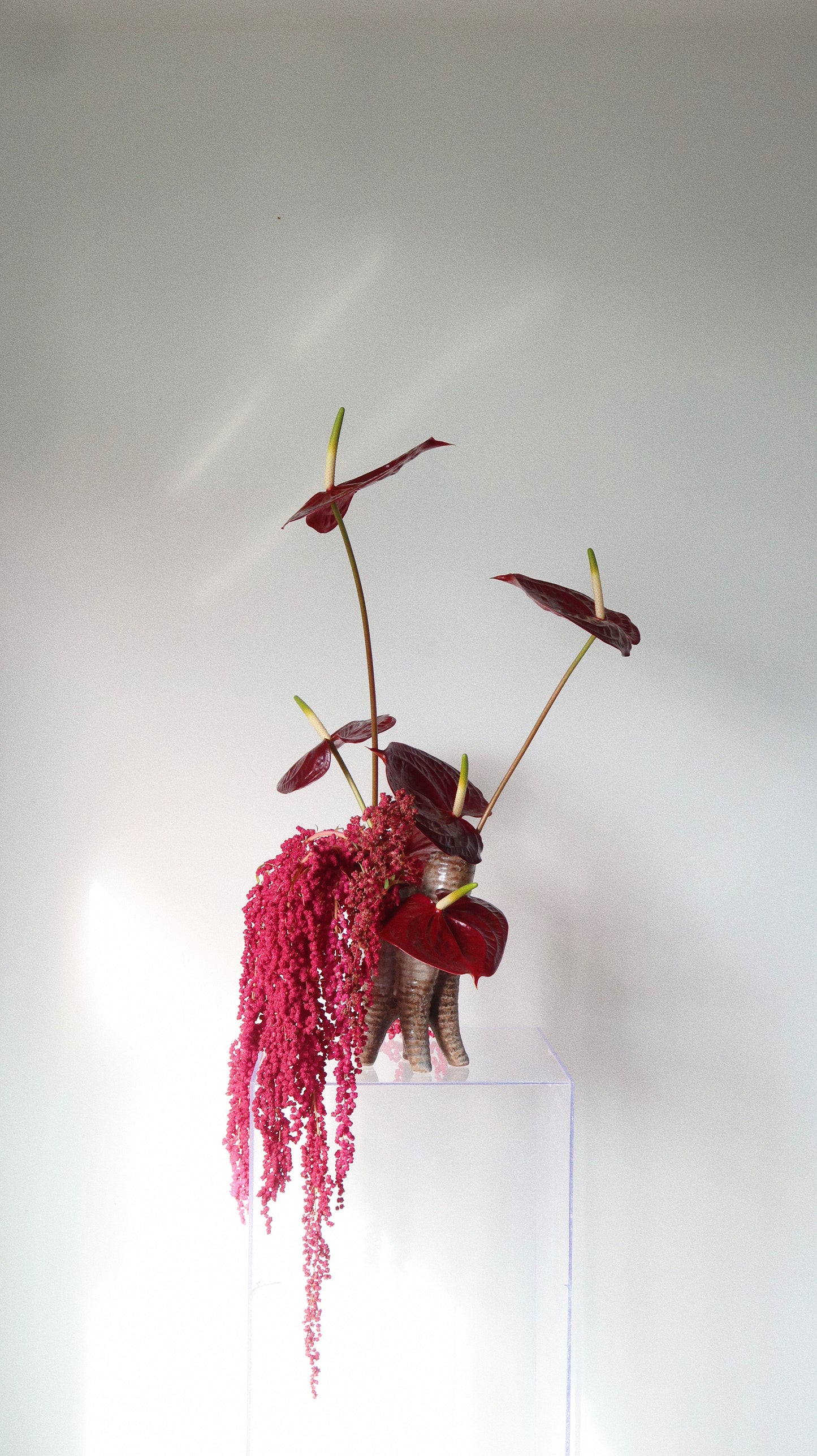 CHERRY TAIL